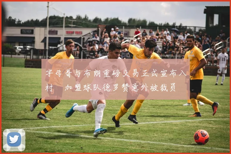字母哥与布朗重磅交易正式宣布八村塁加盟球队德罗赞意外被裁员